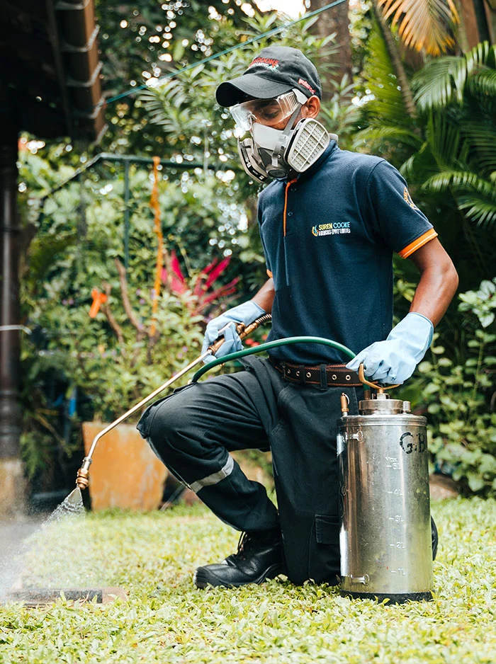 pest control services in sri lanka