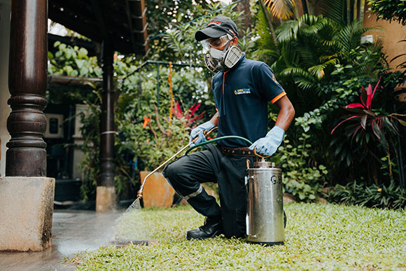 residual spraying fly control