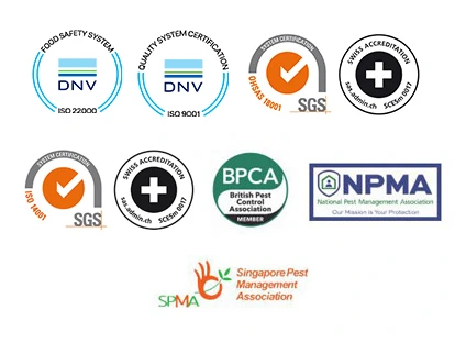 SCA Certifications